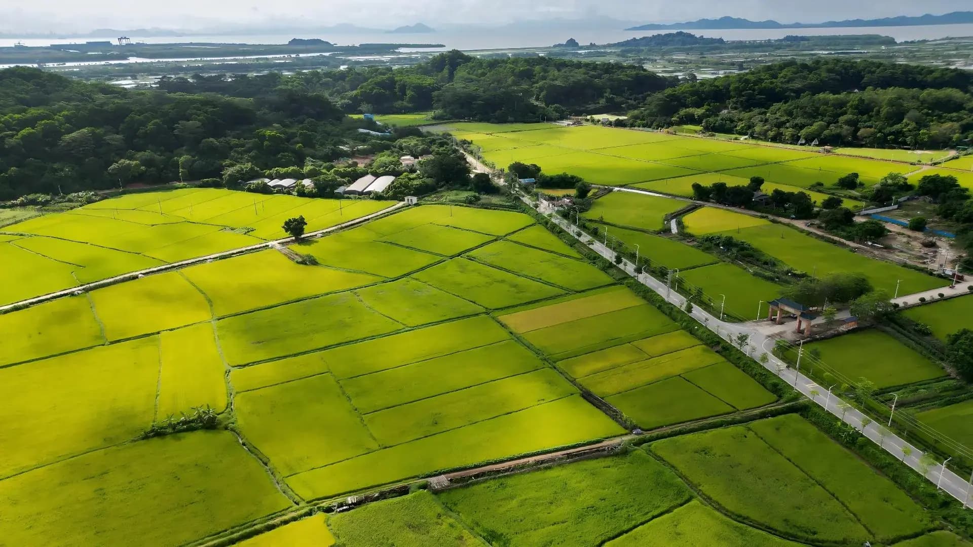 田园乡居，自在冲口
